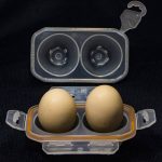 ظرف تخم مرغی دوتایی فایرمپل